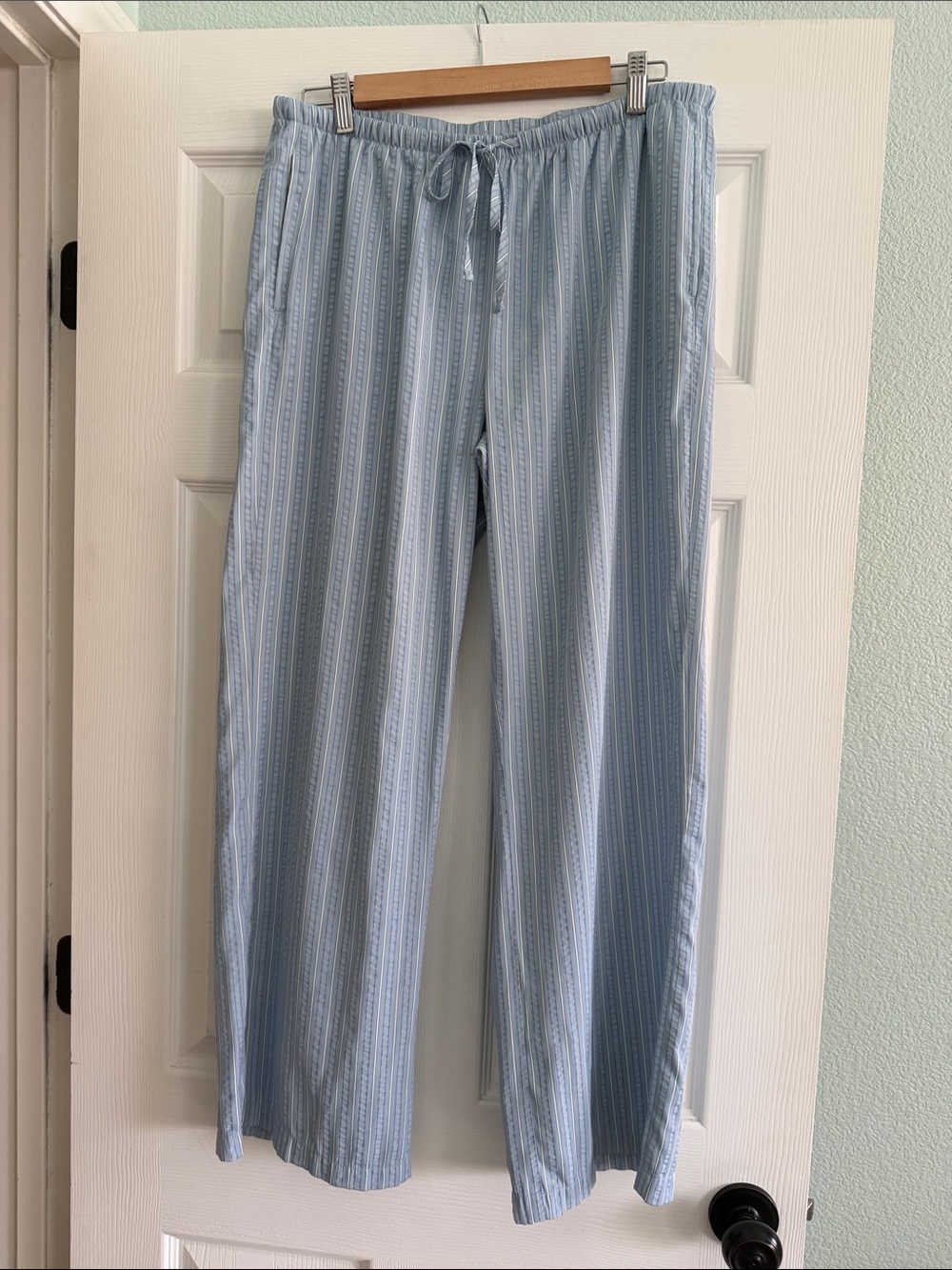 American Eagle Outfitters Light Blue Striped Wide Leg Pants